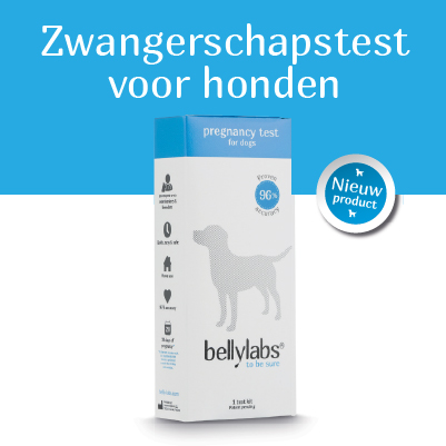 zwangerschaps test voor honden