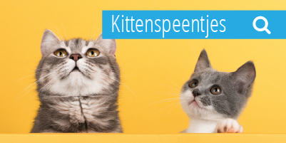 kittenspeentjes