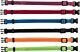 Puppy halsbandenset Bonte kleuren - Medium/Large