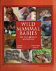 Wild Mammal Babies!